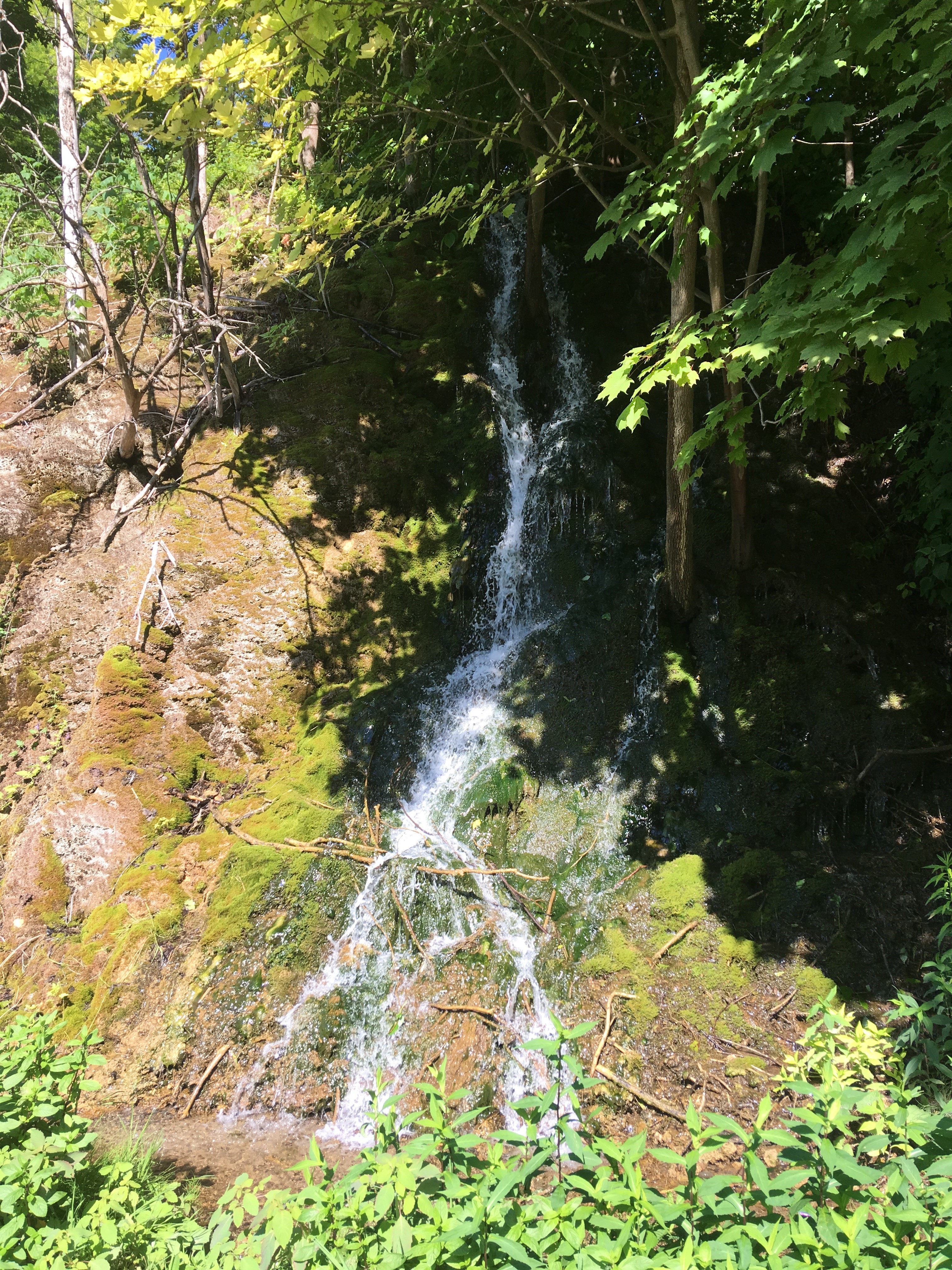 There are many small waterfalls along the road.